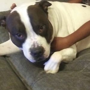 Meet your Posher, Rena